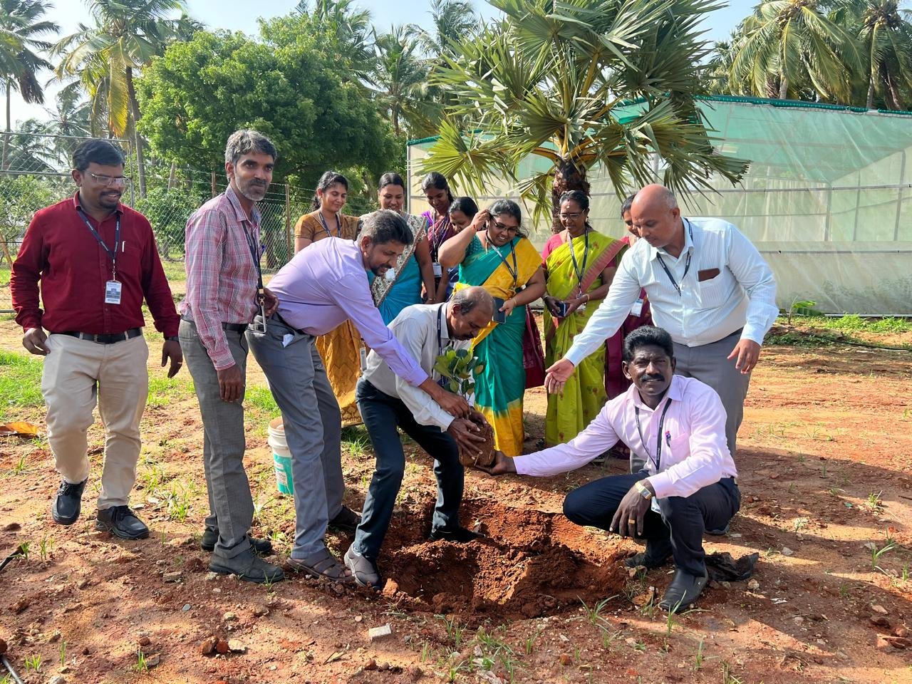 World Environmental Awareness Programme